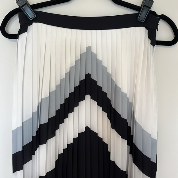 Pleated  Skirt - Banana Republic- 0 Petite - Picture 3 of 4